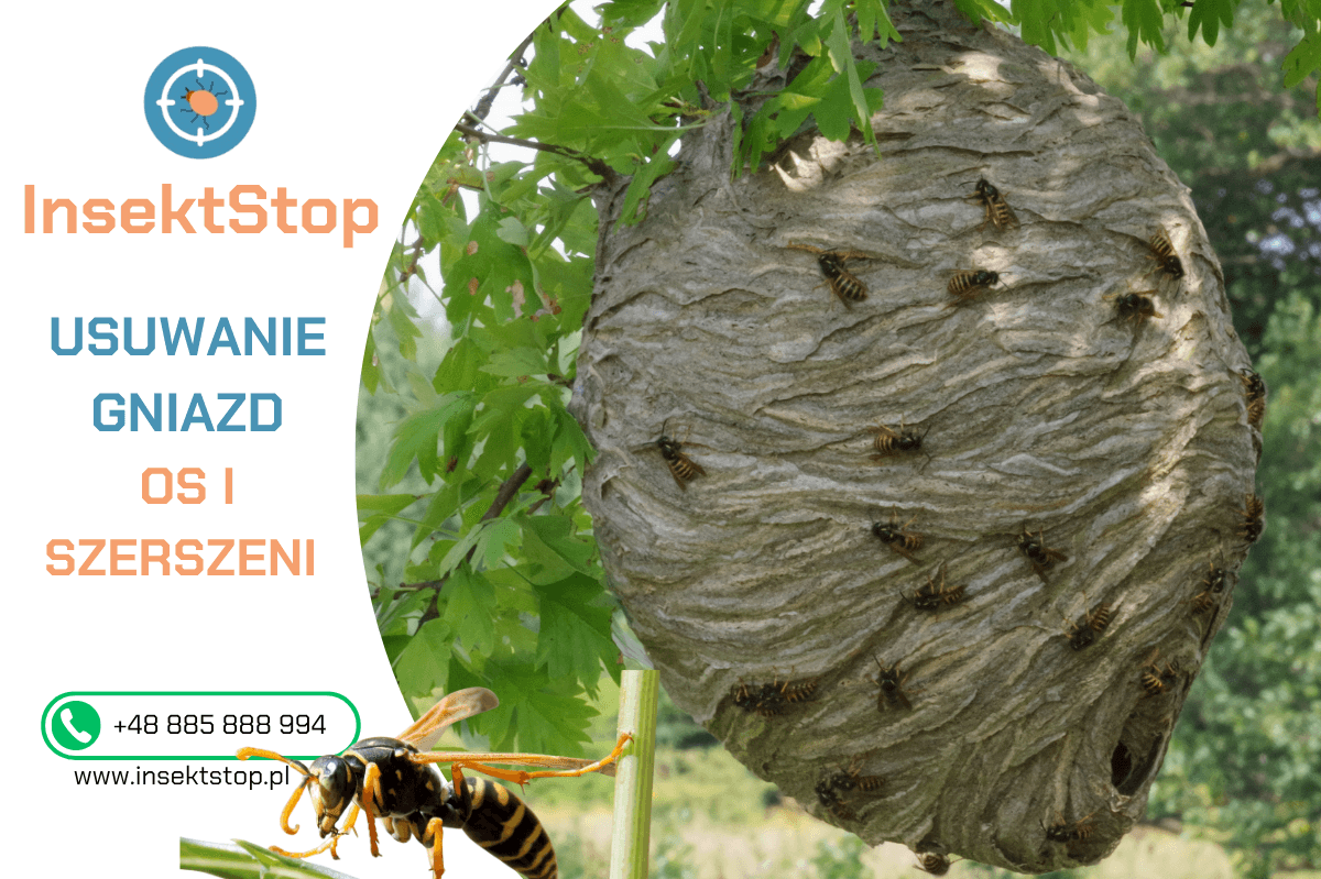 usuwanie gniazd os i szerszeni insektstop.pl
