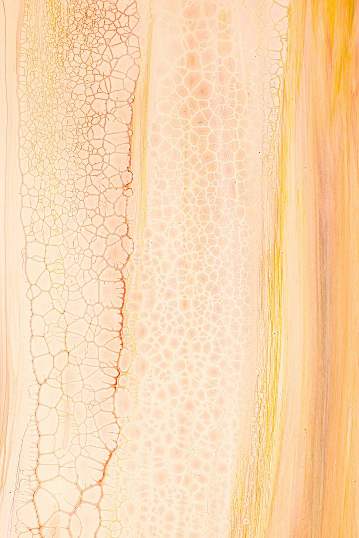 Jaki jest najlepszy kolagen? Przewodnik 2025